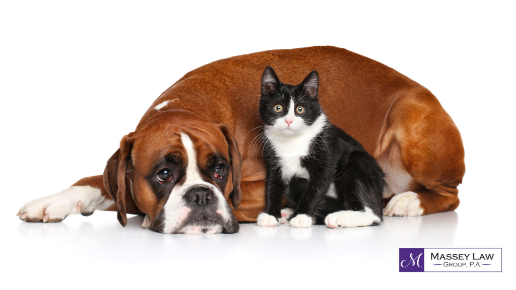 Dog and cat estate planning for pets