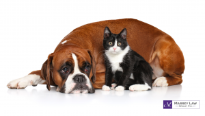 Dog and cat estate planning for pets