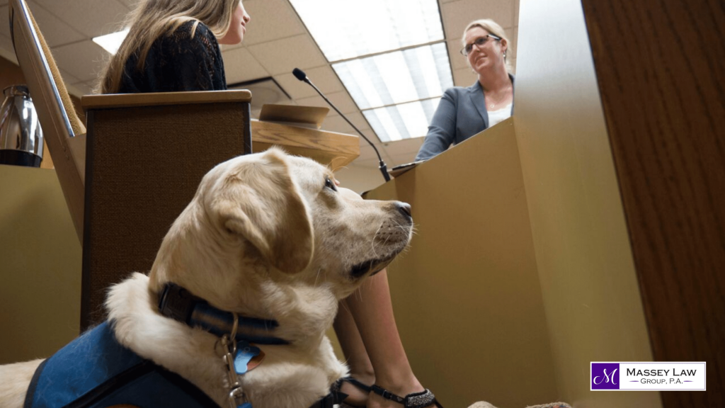 Canines Take the Stand - Court Dogs │ Massey Law Group
